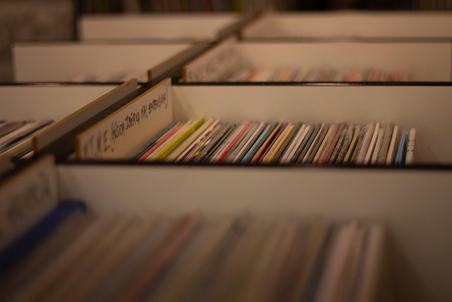 My Field Guide to Vinyl Record Care & Deep Cleaning : What Actually Works